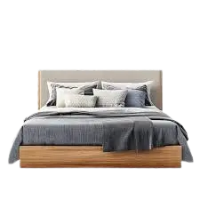 images removebg preview